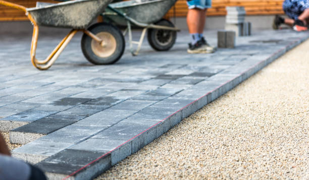 Best Local Driveway Pavers  in Rodney Village, DE