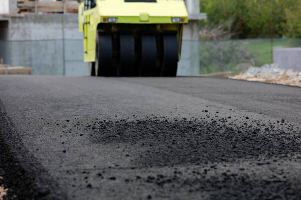 Best Residential Paver Driveway  in Rodney Village, DE