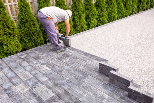 Best Best Driveway Pavers  in Rodney Village, DE