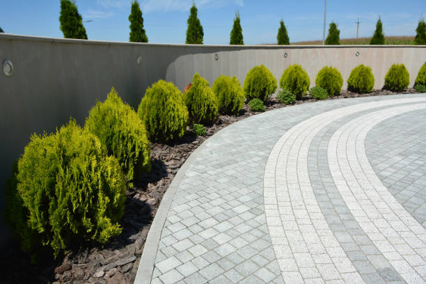 Best Commercial Driveway Pavers  in Rodney Village, DE
